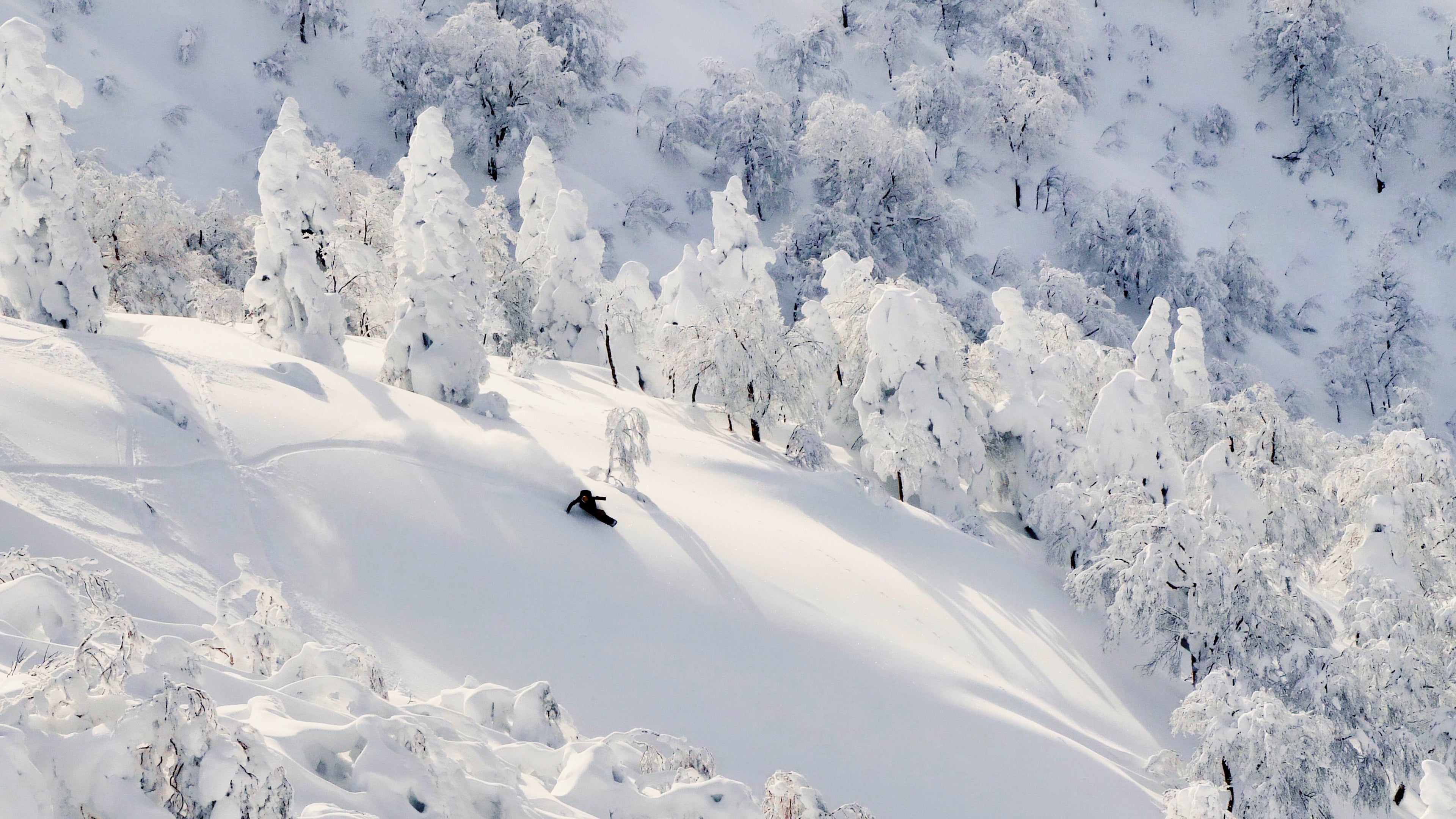 Watch: Shinrin-Yoku — Forest Bathing Snowboard Edit By Toby Nagorcka