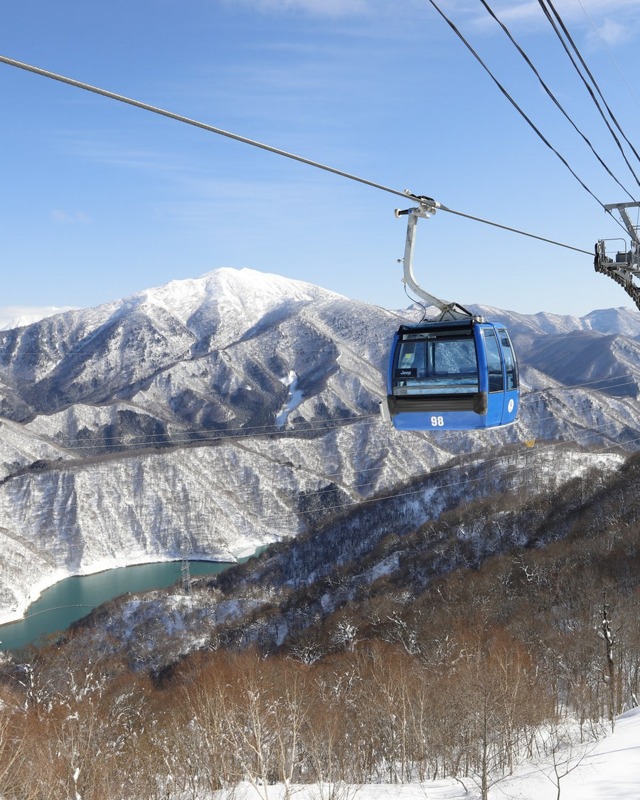 Lifts and transfers, covered