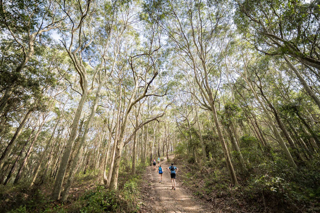 TRAIL RUNNING — HOW TO TRAIN FOR HILLS