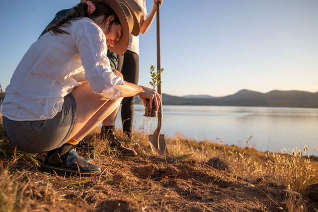REWILD THE SNOWIES - PLANTING 6,000 TREES IN THE SNOWY MOUNTAINS