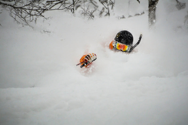 Trip Report: Niseko in January