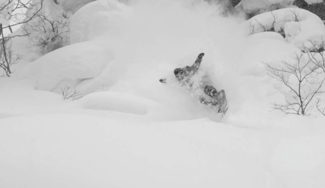 THE LINE-UP IS STRONG!