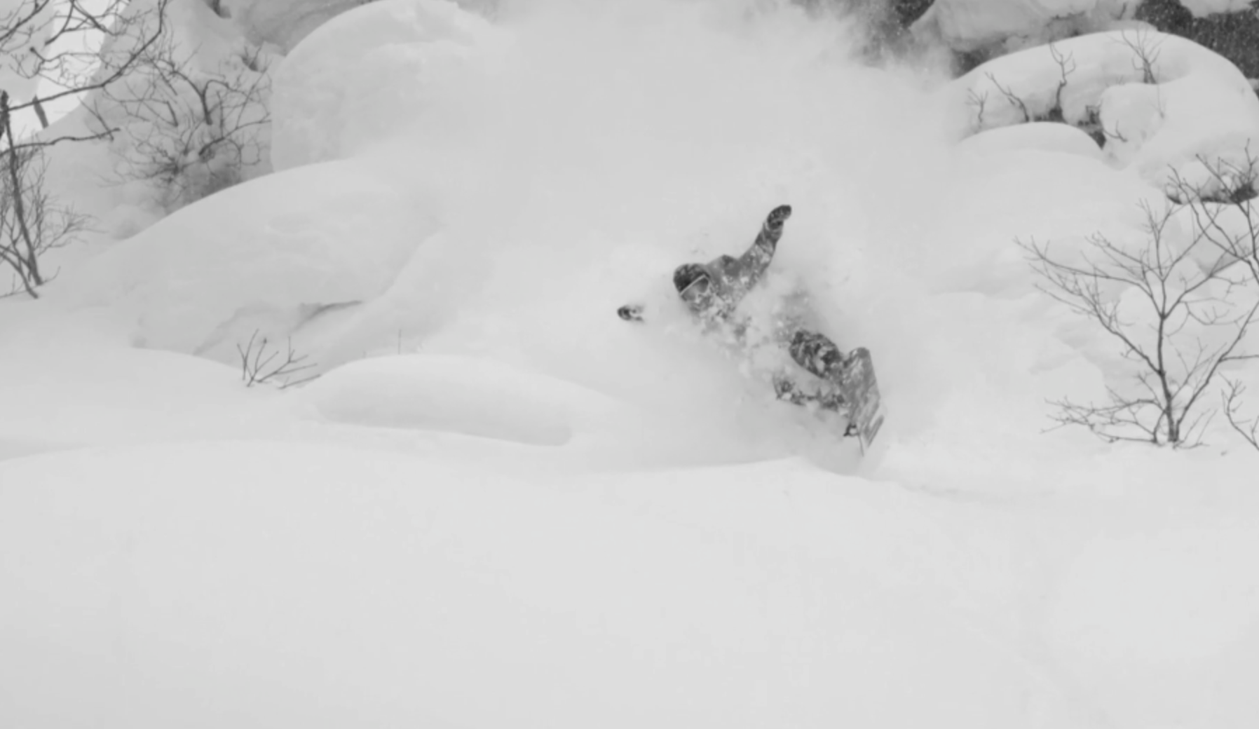 THE LINE-UP IS STRONG!